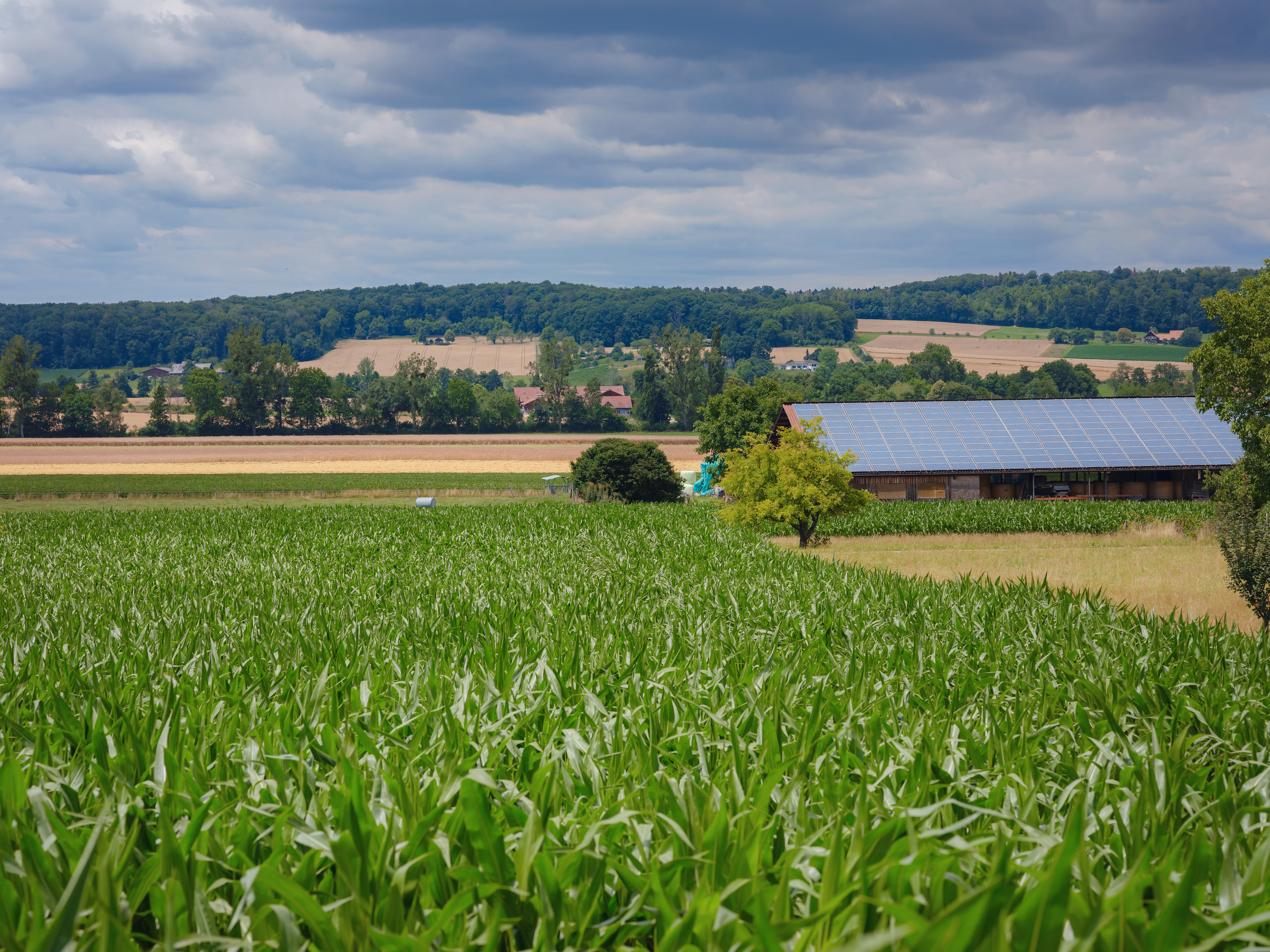 Pyxus Upsizes Asset-Based Lending Facility with PNC Bank