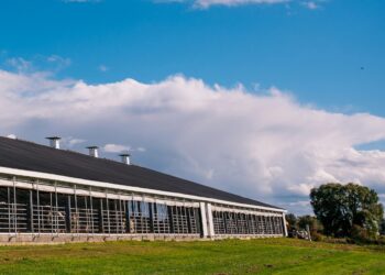 National Business Capital Provides $10MM Term Loan for Expanding Cattle Processing Company