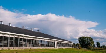 National Business Capital Provides $10MM Term Loan for Expanding Cattle Processing Company
